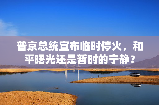 普京总统宣布临时停火，和平曙光还是暂时的宁静？
