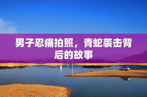 男子忍痛拍照，青蛇袭击背后的故事