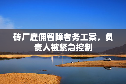 砖厂雇佣智障者务工案，负责人被紧急控制