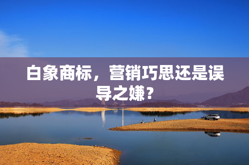白象商标，营销巧思还是误导之嫌？
