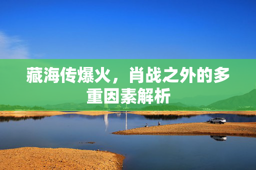 藏海传爆火，肖战之外的多重因素解析