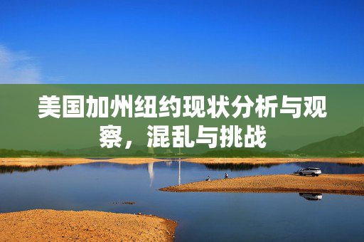 美国加州纽约现状分析与观察，混乱与挑战