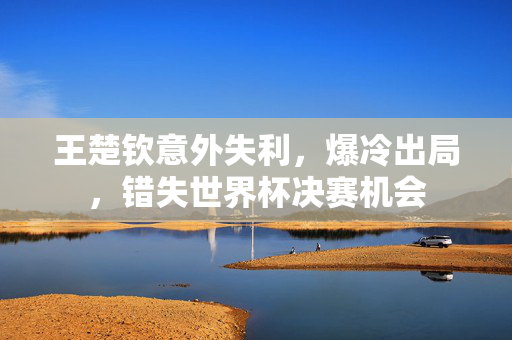 王楚钦意外失利，爆冷出局，错失世界杯决赛机会