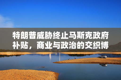 特朗普威胁终止马斯克政府补贴，商业与政治的交织博弈