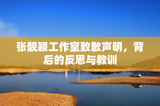 张靓颖工作室致歉声明，背后的反思与教训