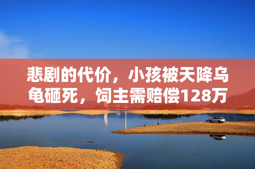 悲剧的代价，小孩被天降乌龟砸死，饲主需赔偿128万