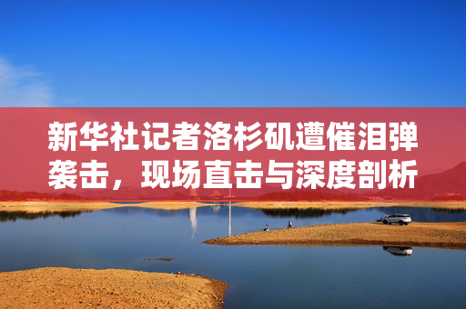 新华社记者洛杉矶遭催泪弹袭击，现场直击与深度剖析