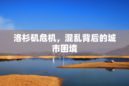 洛杉矶危机，混乱背后的城市困境