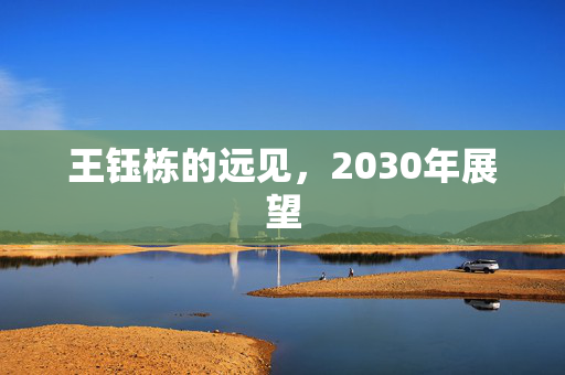 王钰栋的远见，2030年展望