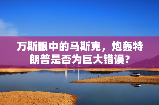 万斯眼中的马斯克，炮轰特朗普是否为巨大错误？