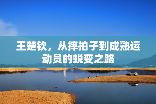 王楚钦，从摔拍子到成熟运动员的蜕变之路