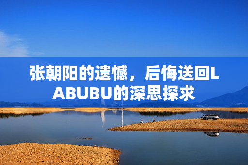 张朝阳的遗憾，后悔送回LABUBU的深思探求