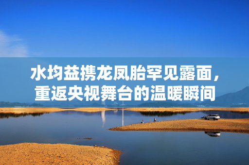 水均益携龙凤胎罕见露面，重返央视舞台的温暖瞬间