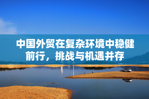 中国外贸在复杂环境中稳健前行，挑战与机遇并存