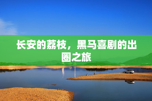 长安的荔枝，黑马喜剧的出圈之旅