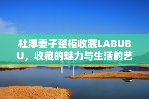 杜淳妻子整柜收藏LABUBU，收藏的魅力与生活的艺术