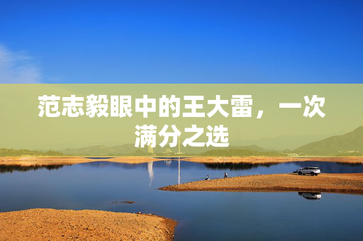范志毅眼中的王大雷，一次满分之选