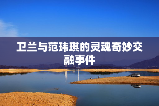 卫兰与范玮琪的灵魂奇妙交融事件