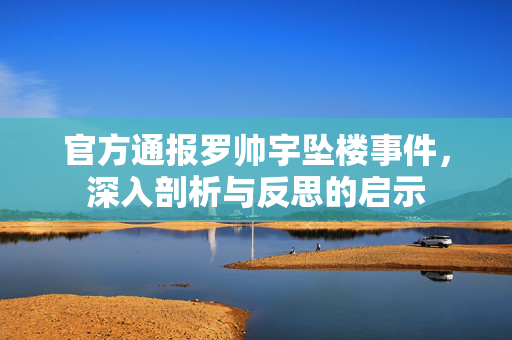 官方通报罗帅宇坠楼事件，深入剖析与反思的启示