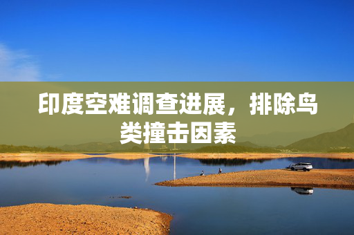 印度空难调查进展，排除鸟类撞击因素