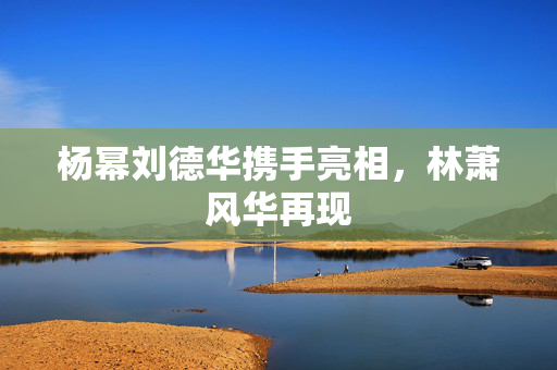 杨幂刘德华携手亮相，林萧风华再现