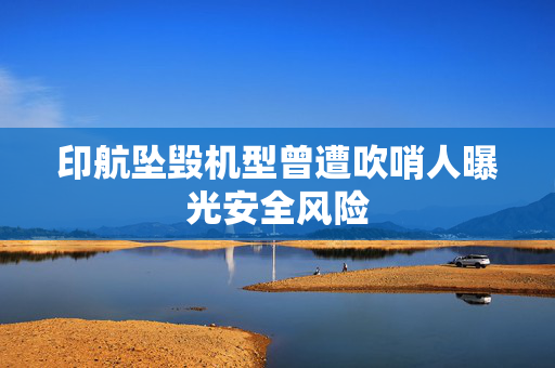 印航坠毁机型曾遭吹哨人曝光安全风险