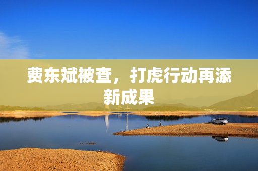 费东斌被查，打虎行动再添新成果