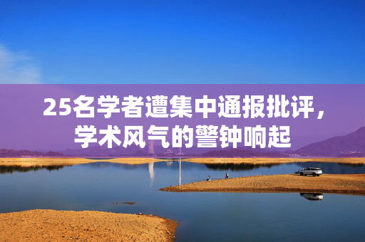 25名学者遭集中通报批评，学术风气的警钟响起