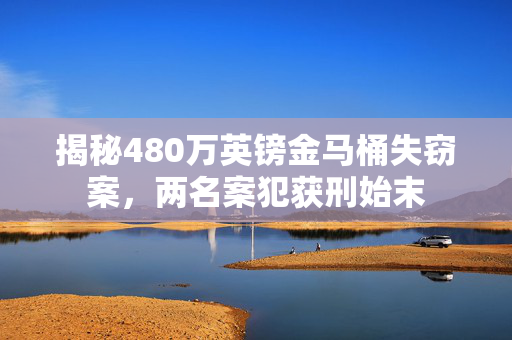 揭秘480万英镑金马桶失窃案，两名案犯获刑始末