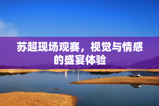苏超现场观赛，视觉与情感的盛宴体验