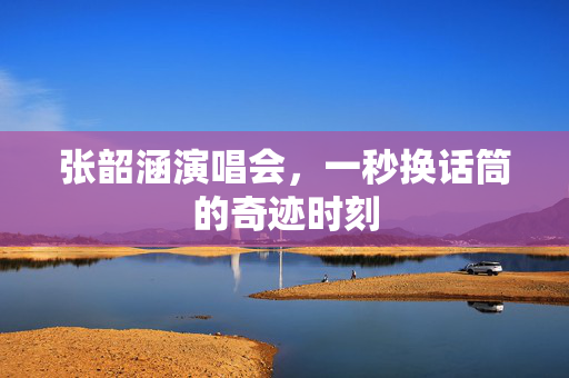 张韶涵演唱会，一秒换话筒的奇迹时刻