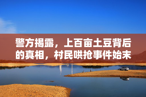 警方揭露，上百亩土豆背后的真相，村民哄抢事件始末