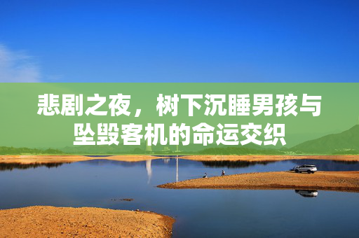 悲剧之夜，树下沉睡男孩与坠毁客机的命运交织