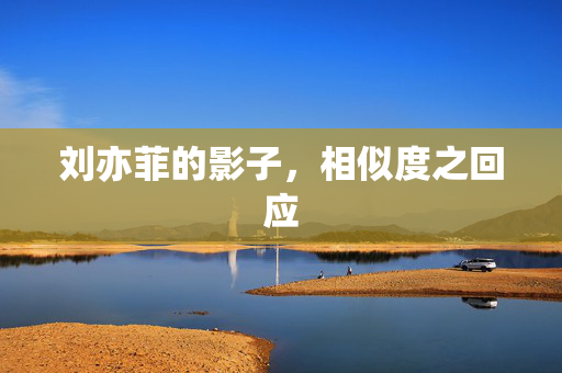 刘亦菲的影子，相似度之回应