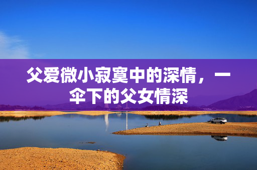 父爱微小寂寞中的深情，一伞下的父女情深