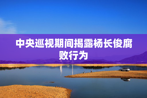 中央巡视期间揭露杨长俊腐败行为