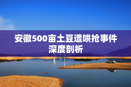 安徽500亩土豆遭哄抢事件深度剖析