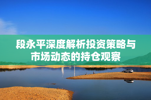 段永平深度解析投资策略与市场动态的持仓观察