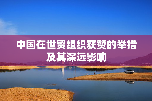 中国在世贸组织获赞的举措及其深远影响