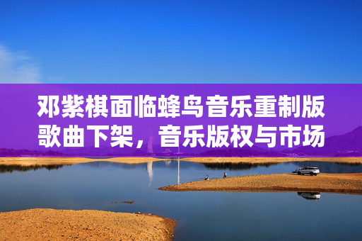 邓紫棋面临蜂鸟音乐重制版歌曲下架，音乐版权与市场策略的双重考量