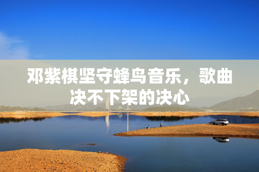 邓紫棋坚守蜂鸟音乐，歌曲决不下架的决心