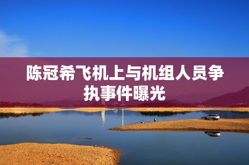 陈冠希飞机上与机组人员争执事件曝光