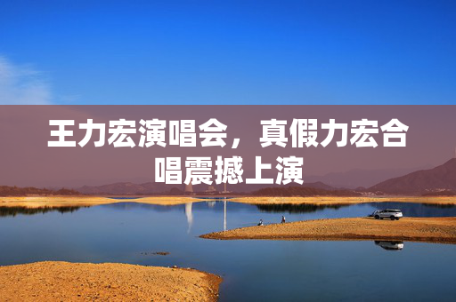 王力宏演唱会，真假力宏合唱震撼上演