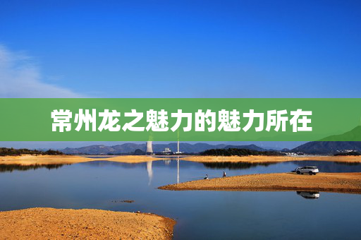 常州龙之魅力的魅力所在
