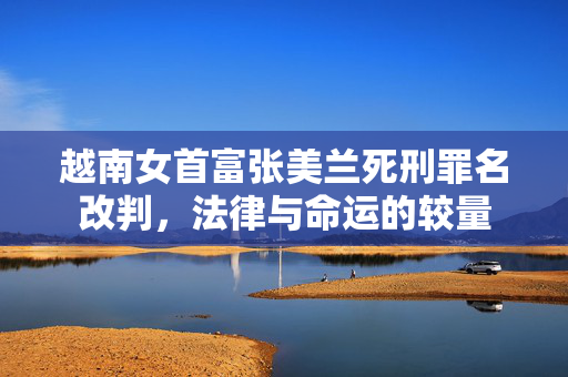 越南女首富张美兰死刑罪名改判，法律与命运的较量