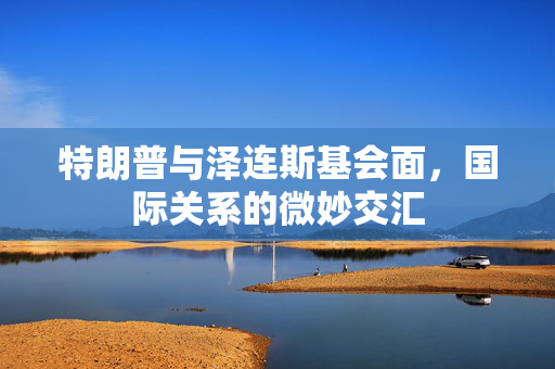 特朗普与泽连斯基会面，国际关系的微妙交汇
