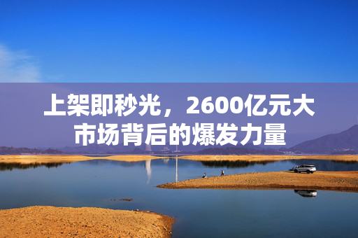 上架即秒光，2600亿元大市场背后的爆发力量