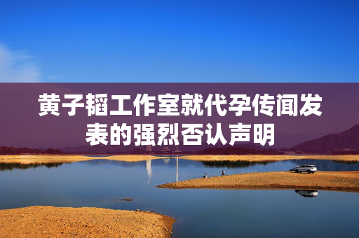黄子韬工作室就代孕传闻发表的强烈否认声明
