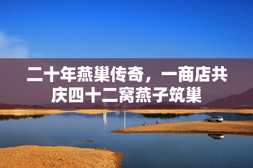 二十年燕巢传奇，一商店共庆四十二窝燕子筑巢