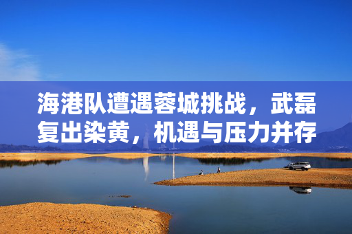 海港队遭遇蓉城挑战，武磊复出染黄，机遇与压力并存